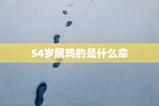 54岁属鸡的是什么命