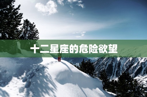 十二星座的危险欲望