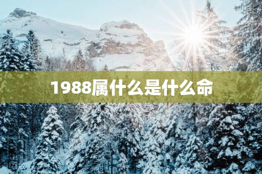 1988属什么是什么命