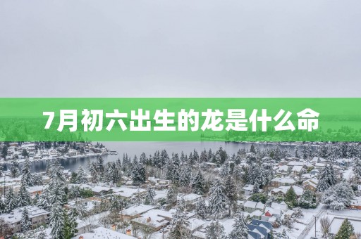 7月初六出生的龙是什么命