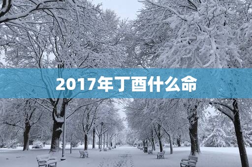 2017年丁酉什么命