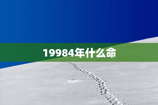 19984年什么命
