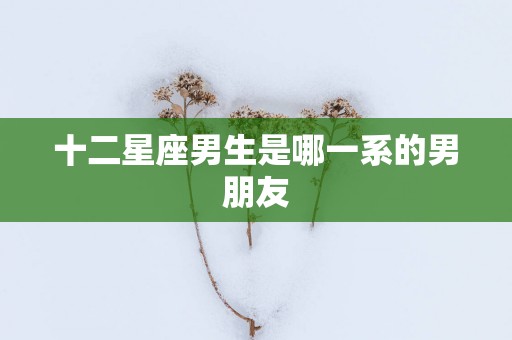 十二星座男生是哪一系的男朋友