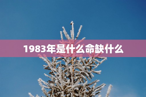 1983年是什么命缺什么