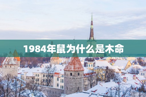 1984年鼠为什么是木命