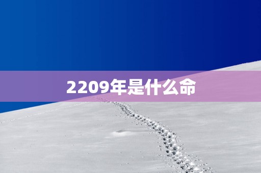 2209年是什么命