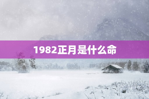 1982正月是什么命