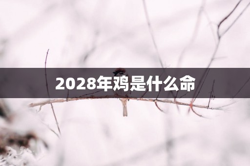 2028年鸡是什么命