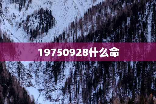 19750928什么命