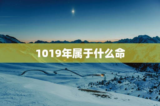 1019年属于什么命