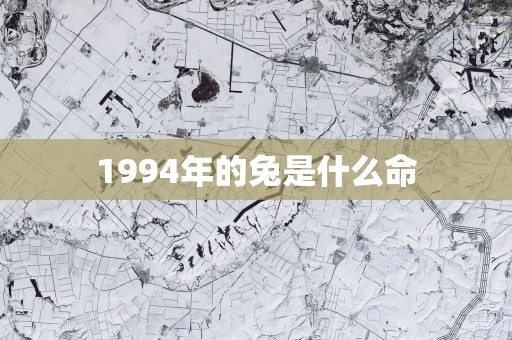 1994年的兔是什么命