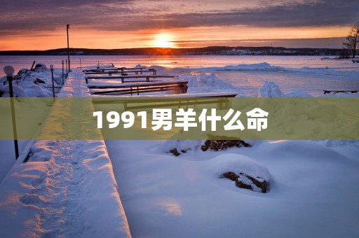 1991男羊什么命