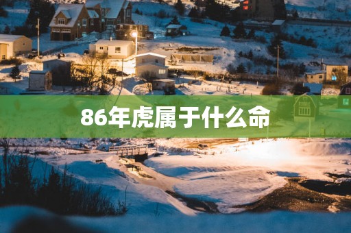 86年虎属于什么命