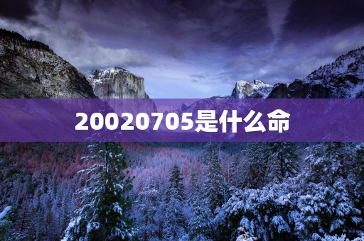20020705是什么命