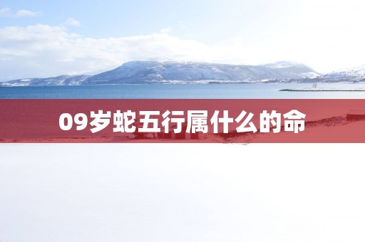 09岁蛇五行属什么的命