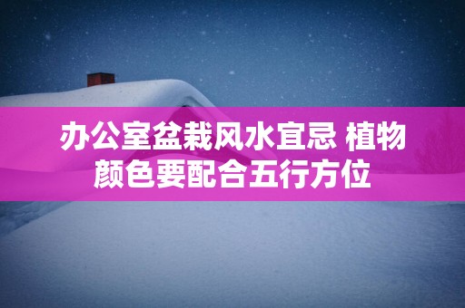 办公室盆栽风水宜忌 植物颜色要配合五行方位