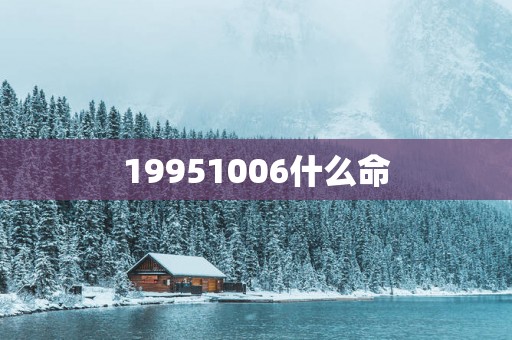 19951006什么命