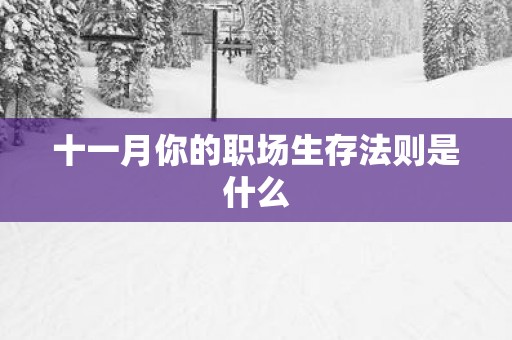 十一月你的职场生存法则是什么