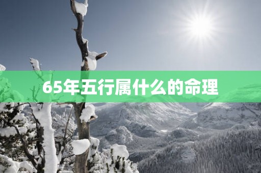 65年五行属什么的命理