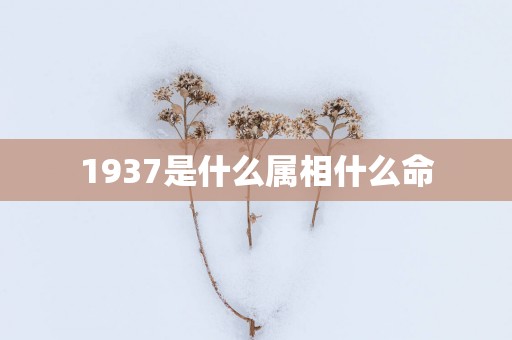 1937是什么属相什么命