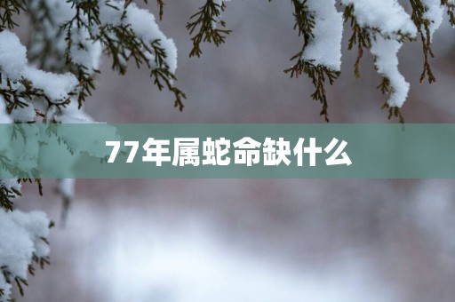 77年属蛇命缺什么