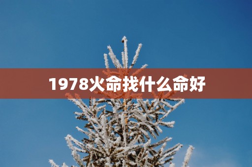1978火命找什么命好