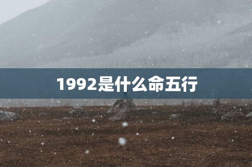 1992是什么命五行