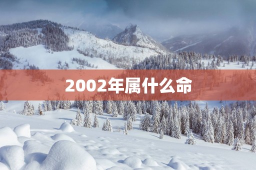 2002年属什么命