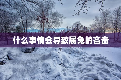 什么事情会导致属兔的吝啬