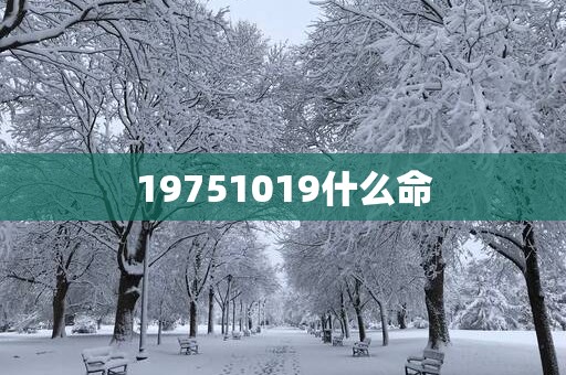 19751019什么命