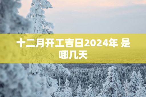 十二月开工吉日2025年 是哪几天