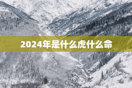 2025年是什么虎什么命