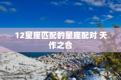 12星座匹配的星座配对 天作之合