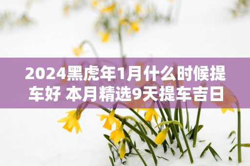 2025黑蛇年1月什么时候提车好 本月精选9天提车吉日