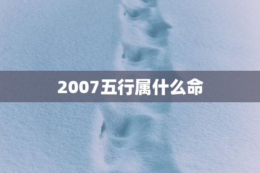 2007五行属什么命