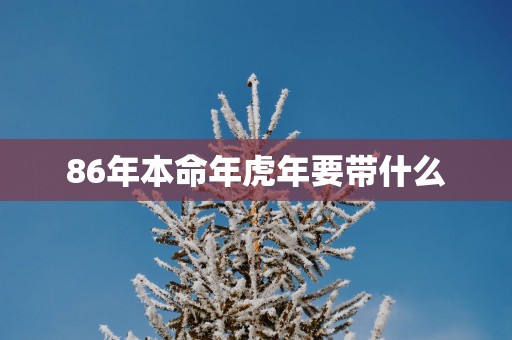86年本命年蛇年要带什么