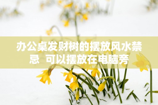 办公桌发财树的摆放风水禁忌  可以摆放在电脑旁