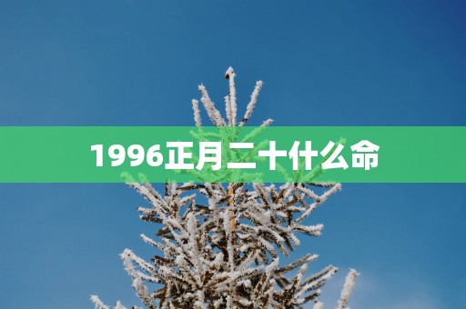 1996正月二十什么命