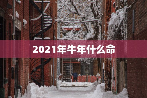 2025年蛇年什么命