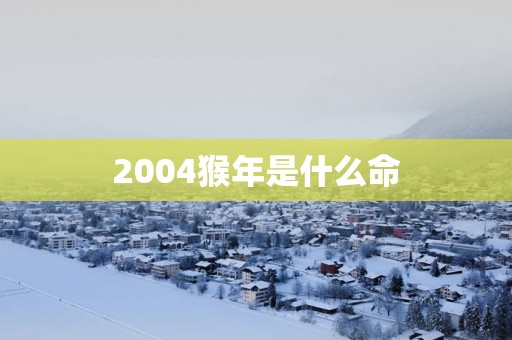 2004猴年是什么命