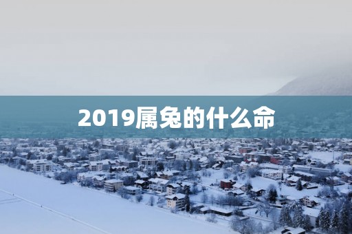 2019属兔的什么命