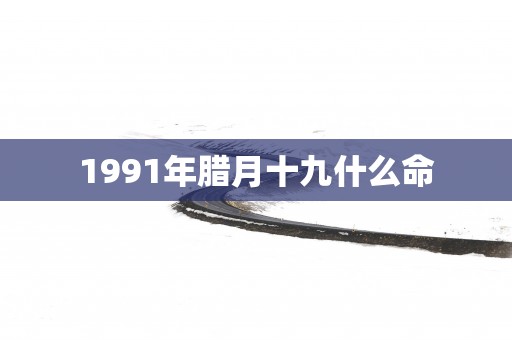 1991年腊月十九什么命
