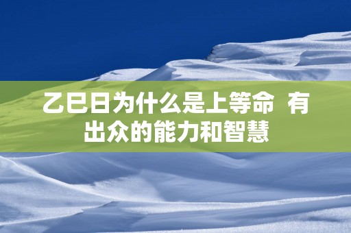 乙巳日为什么是上等命  有出众的能力和智慧
