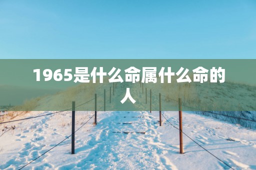 1965是什么命属什么命的人