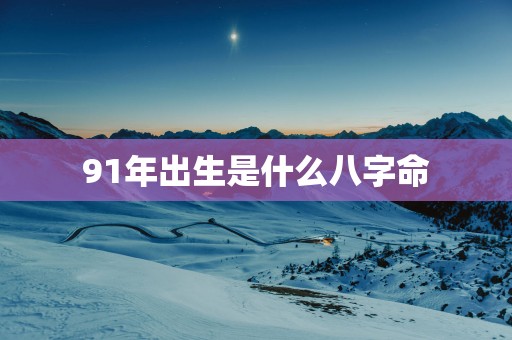 91年出生是什么八字命