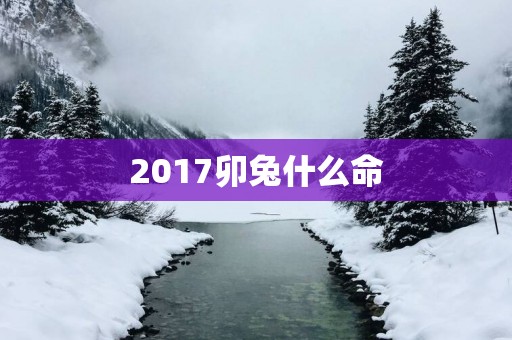 2017卯兔什么命