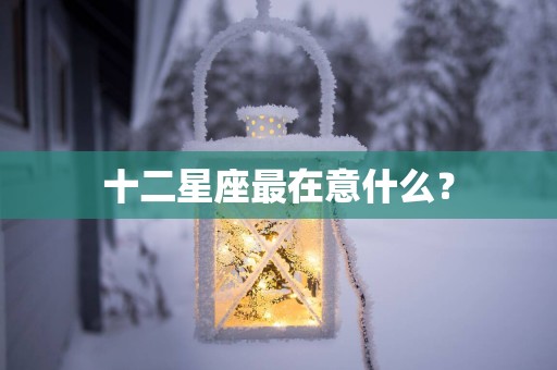 十二星座最在意什么？