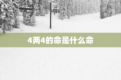 4两4的命是什么命