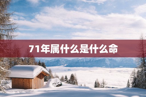 71年属什么是什么命