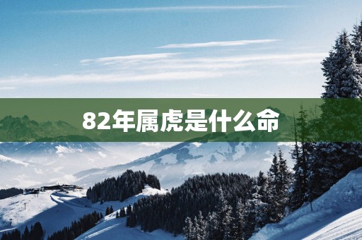 82年属虎是什么命